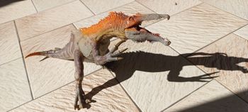 Dinosaure papo Baryonix