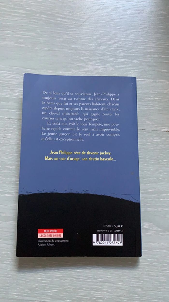 Tempête au haras de Chris Donner - photo numéro 2