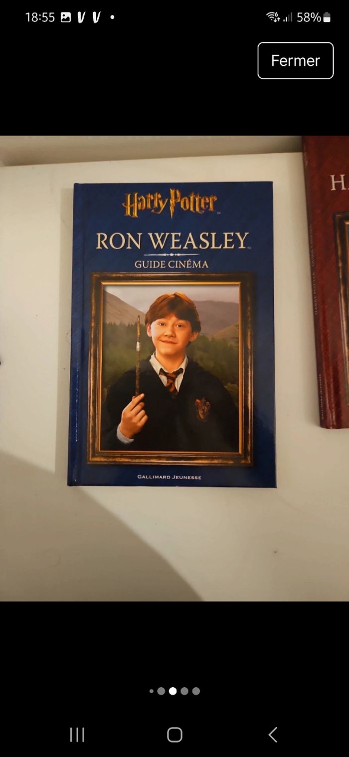 Livre Harry Potter - photo numéro 4