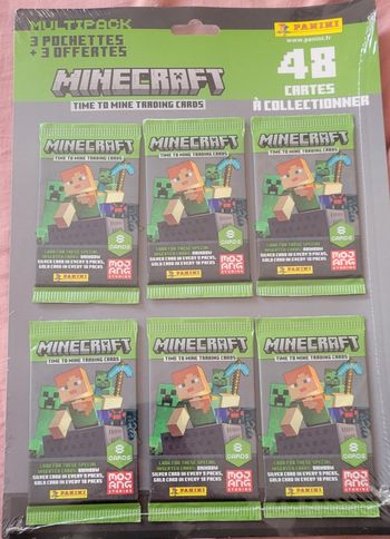 6paquets de Carte minecraft