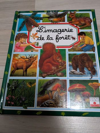 L'imagerie de la forêt