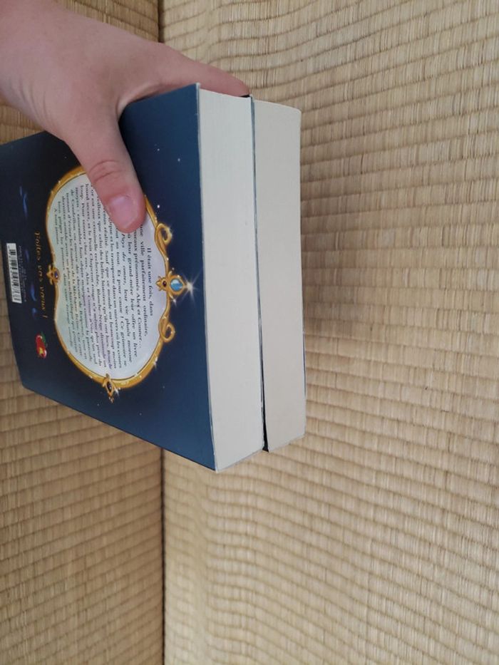 2 livres le pays des contes - photo numéro 4
