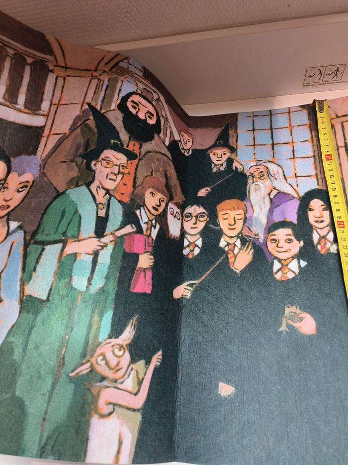 Affiche fronton intissé Harry Potter 25 ans - photo numéro 7