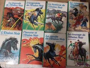 # lot l étalon noir