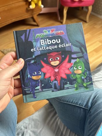 Livre Pyjamasques
