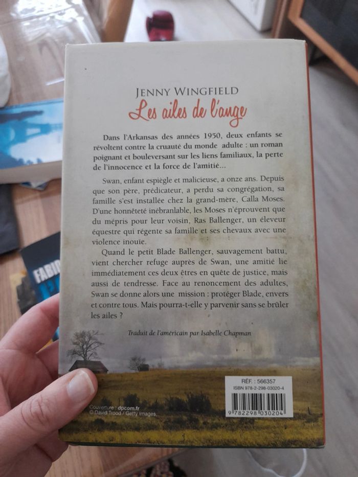 Les ailes de l ange - photo numéro 2