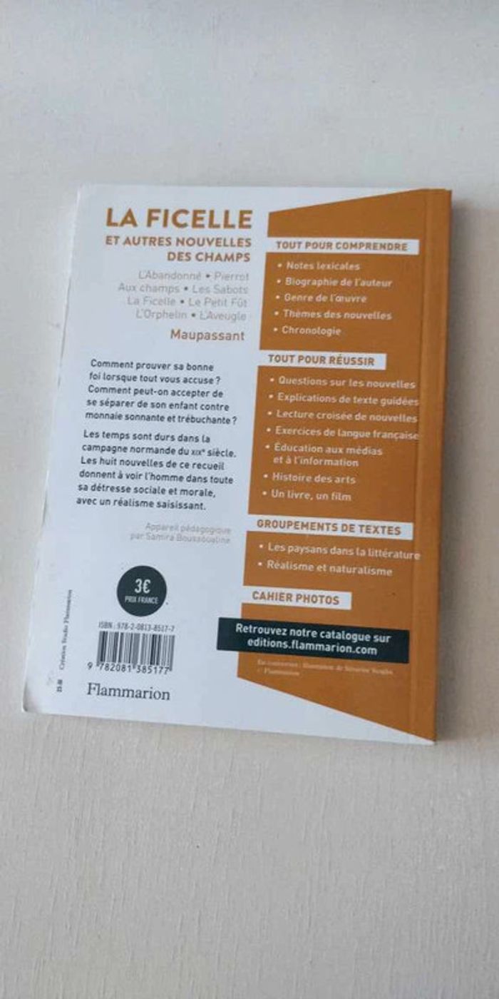 Livre la ficelle college - photo numéro 2