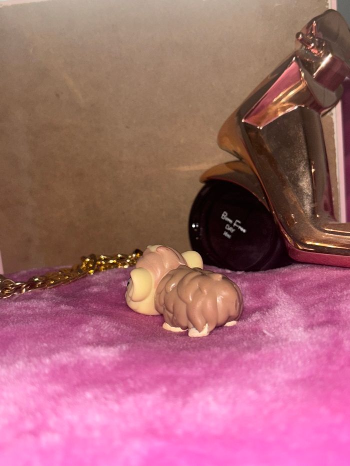 guinea pig #494 - photo numéro 2