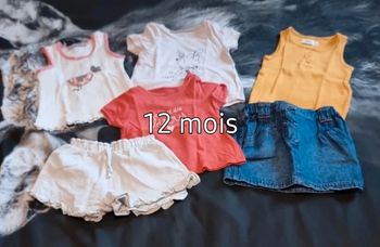 Lot 12 mois