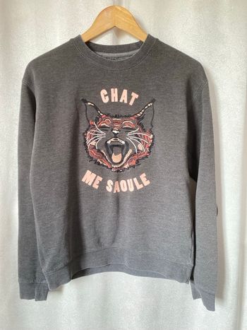 Pull sweat chat me saoule S Bizzbee