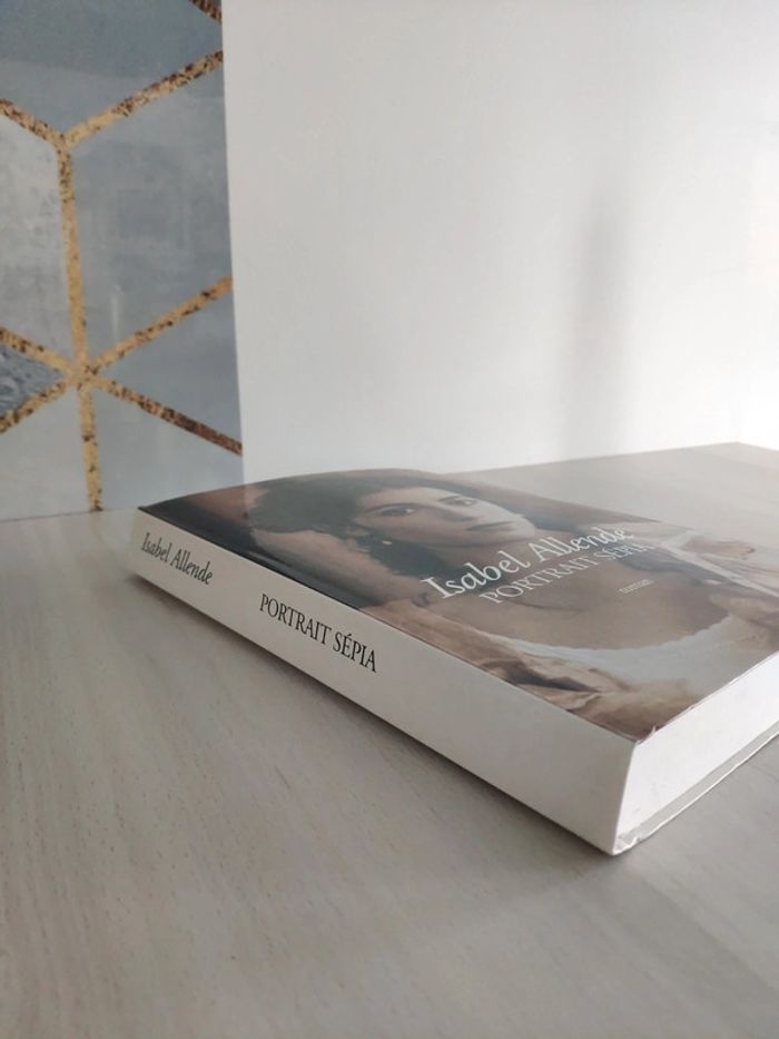 Livre grand format Portrait sépia Isabel Allende - photo numéro 2