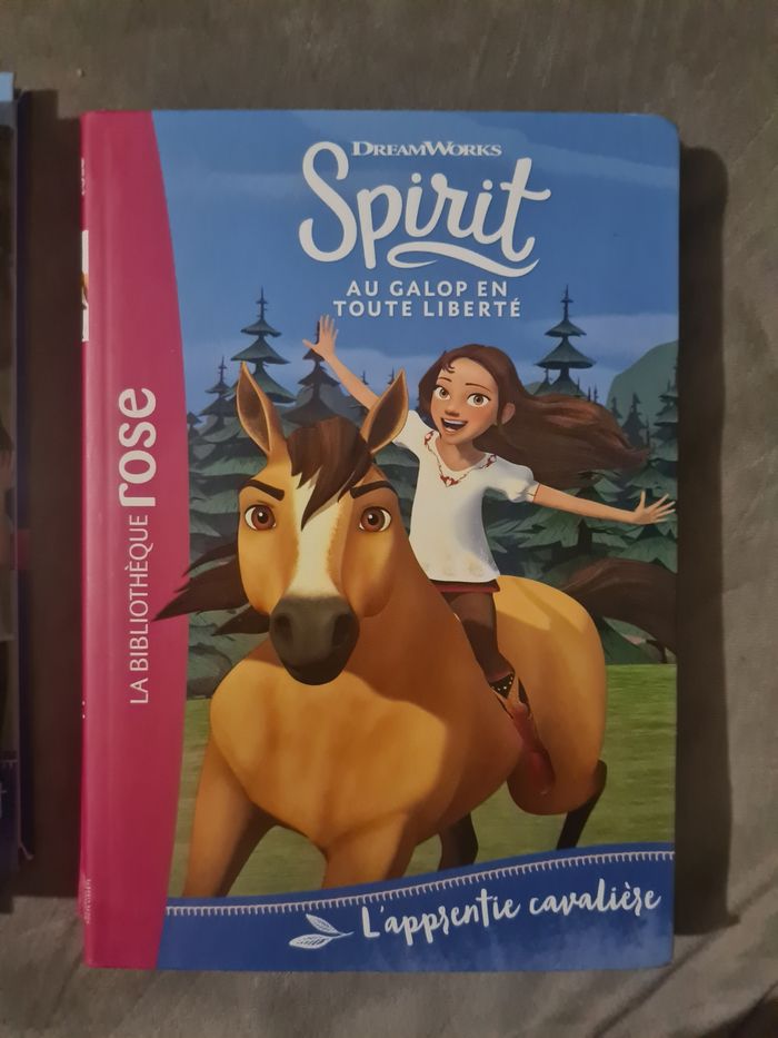 Spirit livre - photo numéro 4