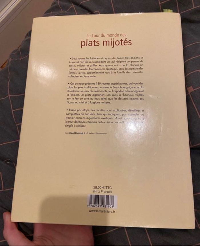 Le tour du monde des plats mijotés - photo numéro 2