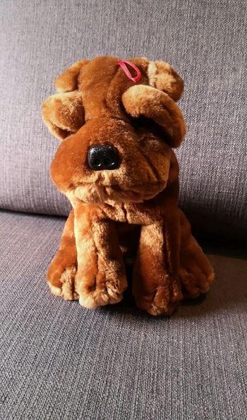 Peluche chien marron