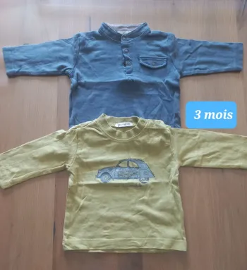 Lot 2 tee-shirts grain de blé 3 mois