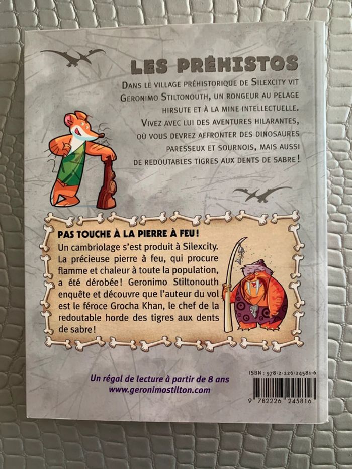 Livre : Pas touche à la pierre à feu ! - photo numéro 2