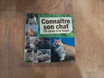 Connaitre son chat