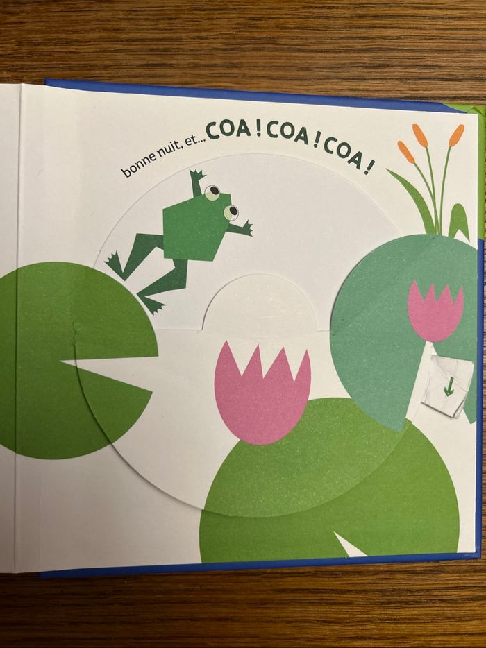 Livre la grenouille - photo numéro 4