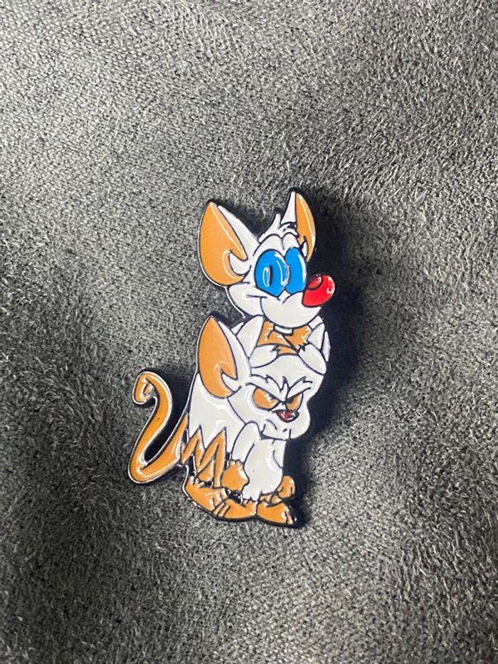 Pins minus et cortex