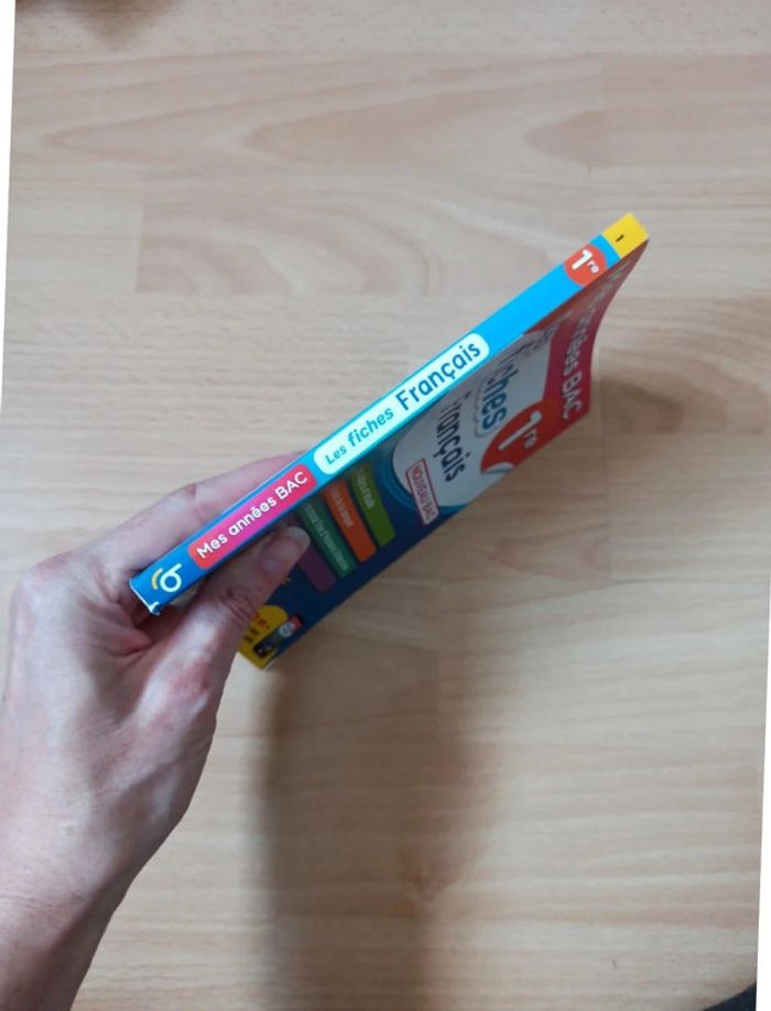 Les fiches français 1ere - photo numéro 3