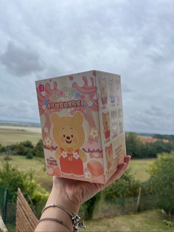 Boîte mystère Winnie - photo numéro 2