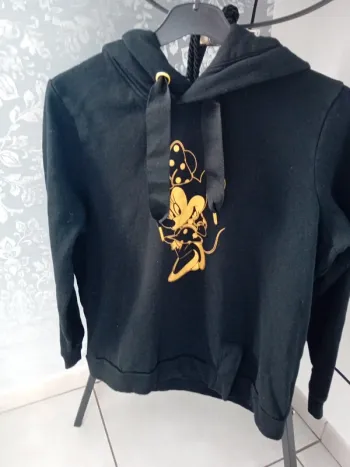 Pull avec capuche disney