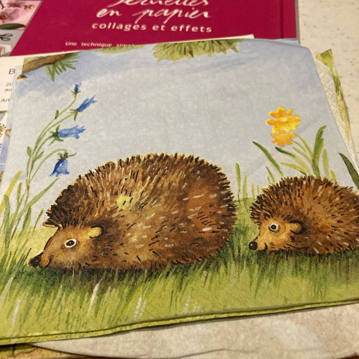 Livre serviettes en papier collages et effets avec serviettes en papiers - photo numéro 9