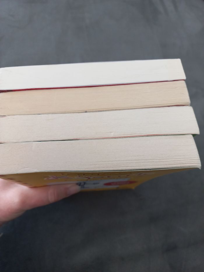 Lot 4 livres journal d'un dégonflé tomeb1 2 3 4 - photo numéro 2