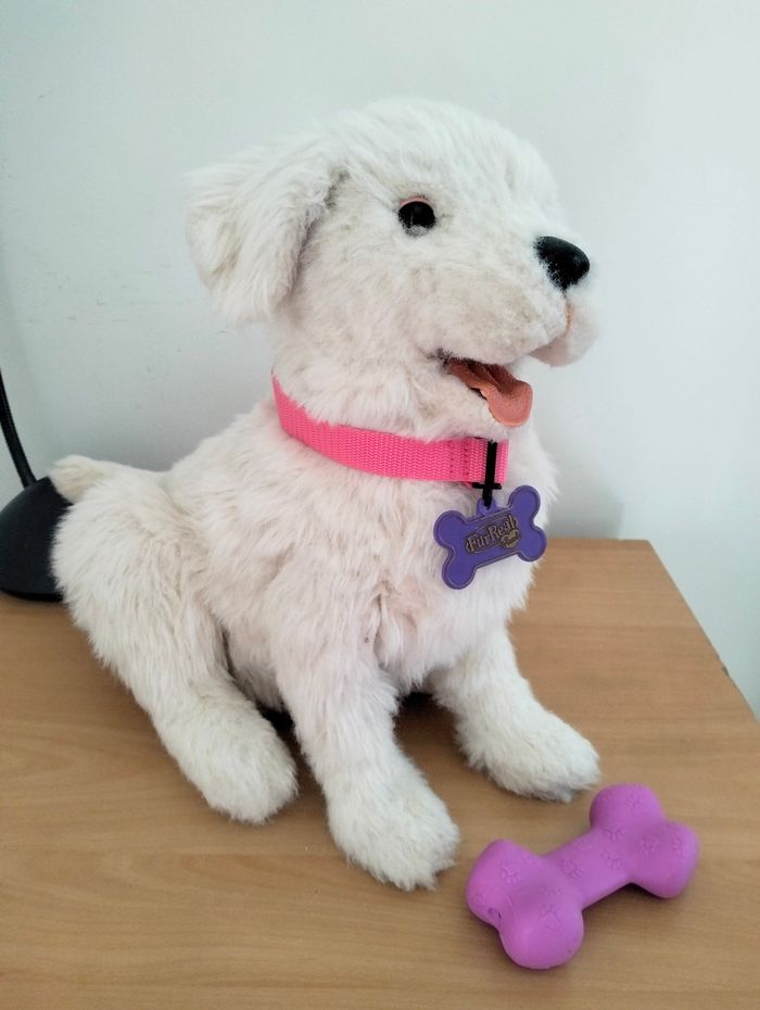 Cookie mon  petit chien - photo numéro 2