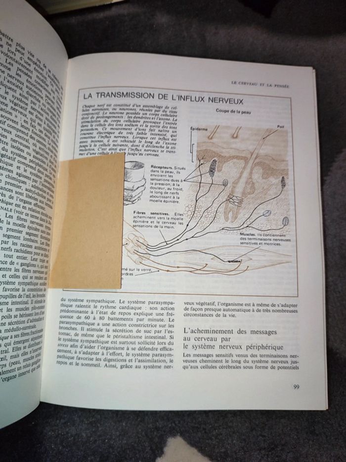 Livre votre corps - photo numéro 4