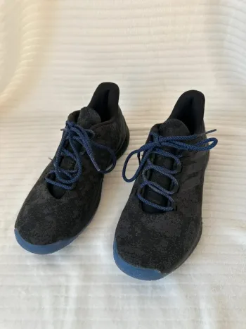 James Harden chaussures de basket taille 40 2/3