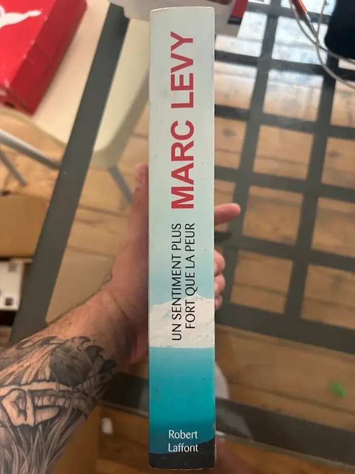 Un sentiment plus fort que la peur - Marc Levy - photo numéro 3