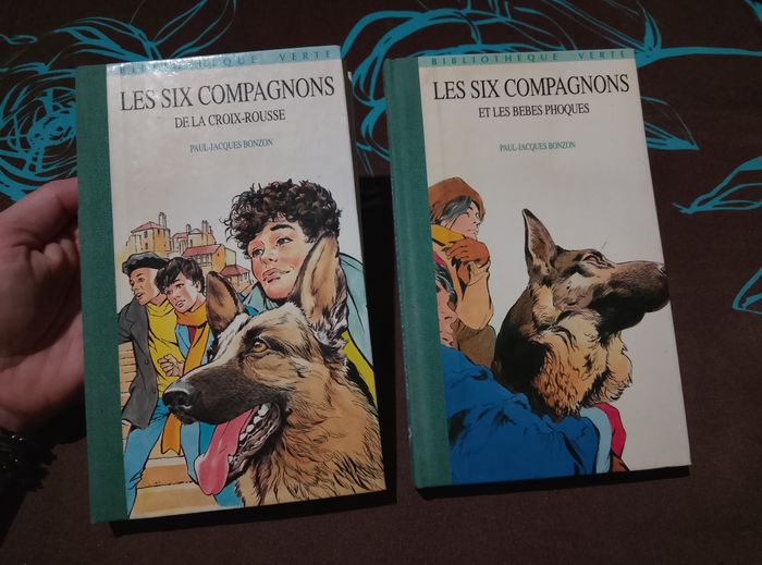 Les 6 compagnons