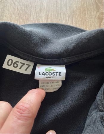 Polo Lacoste 