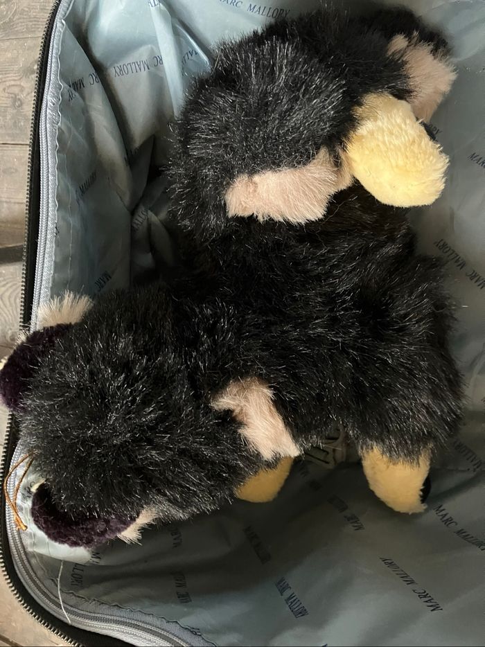 Peluche chien - photo numéro 3