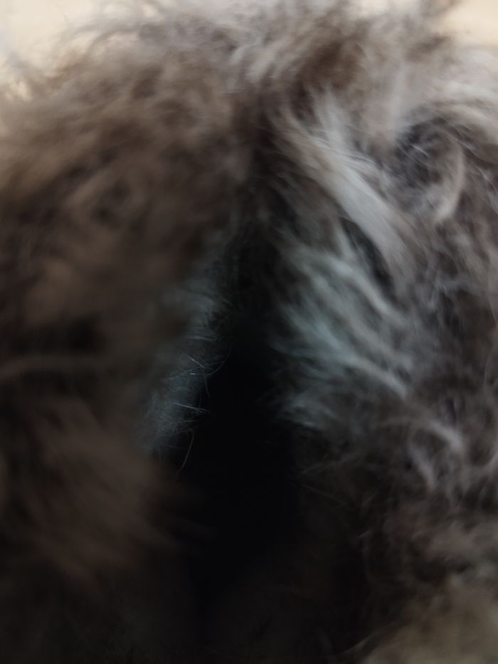 bottes de neige pour enfant  Decathlon pointure 30 - photo numéro 6