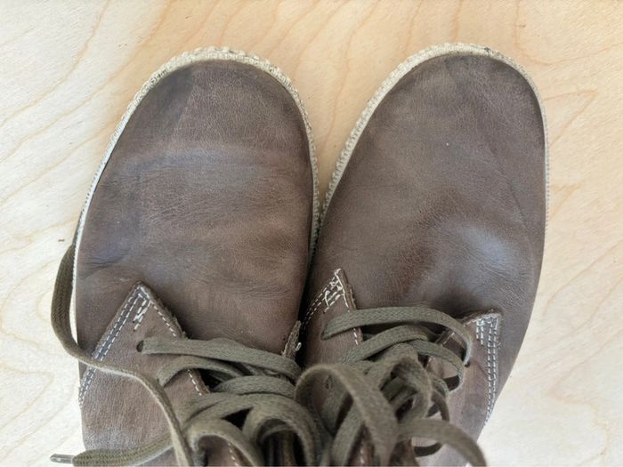 Basket armistice