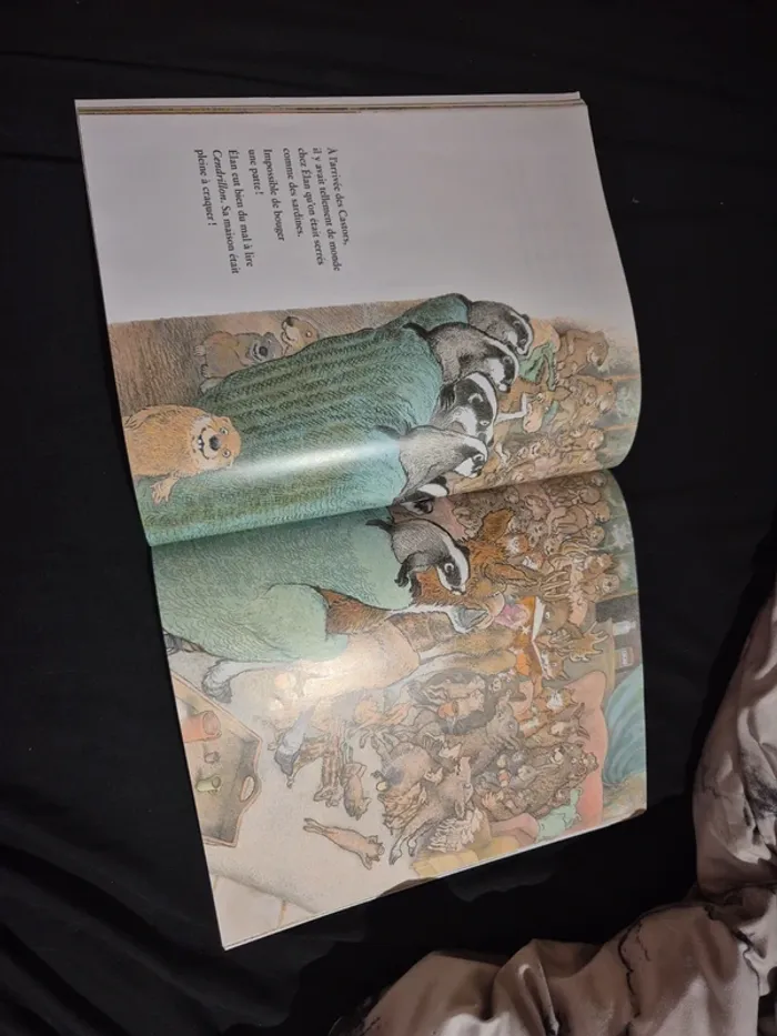 Livre - photo numéro 3