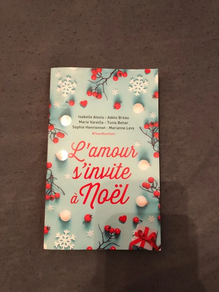 Livre l amour s invite à Noël