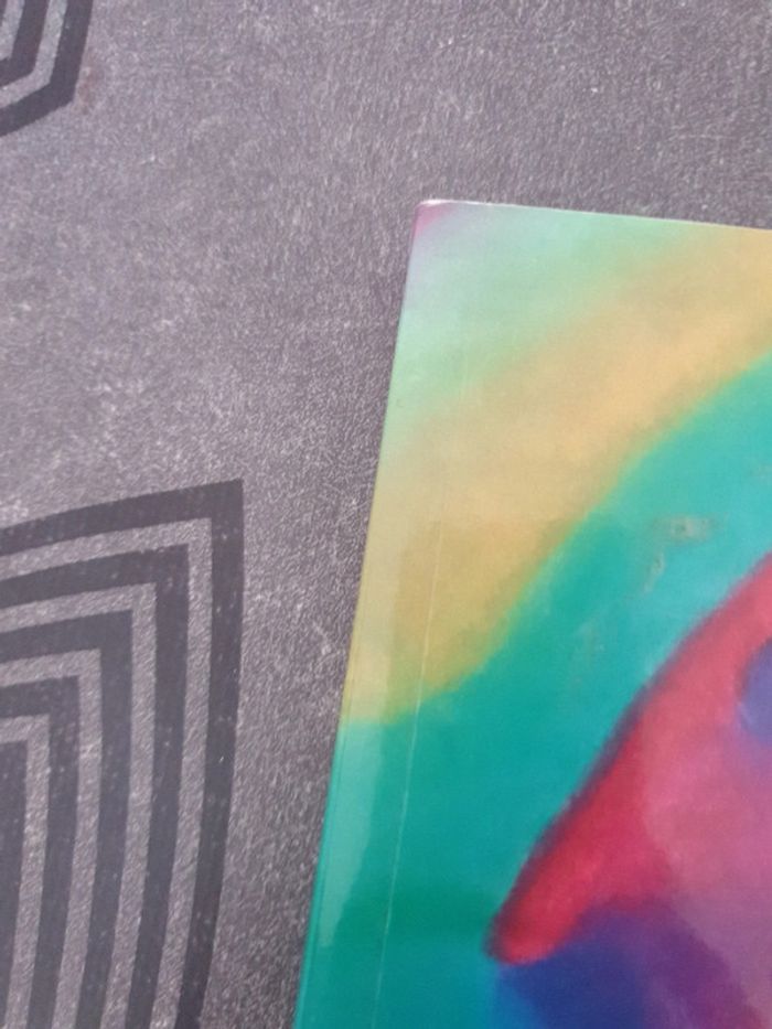 Espoir La voie de la réalisation - photo numéro 5