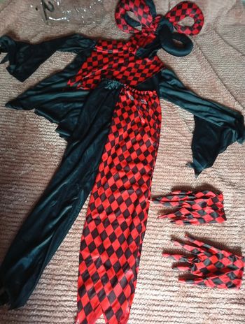 Déguisement arlequin