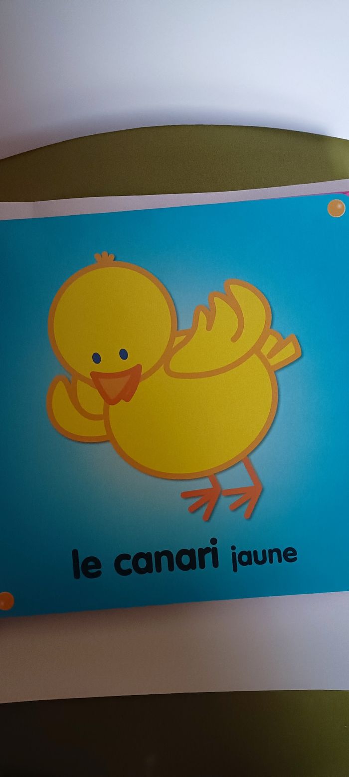 Livre premier dictionnaire de bébé - photo numéro 3