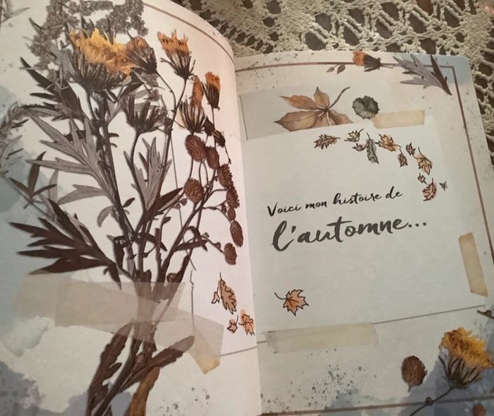 Livre jardin secret , Le jardin de Mary - photo numéro 3