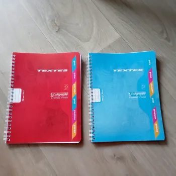 Lot de deux cahiers de texte neufs