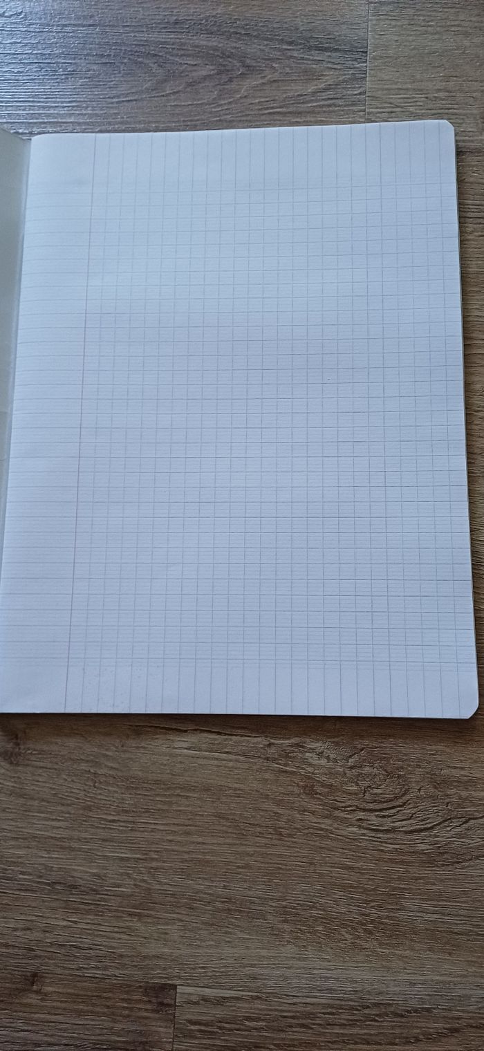 Cahier conquerant 96 pages grands  carreaux 24x32 - photo numéro 2