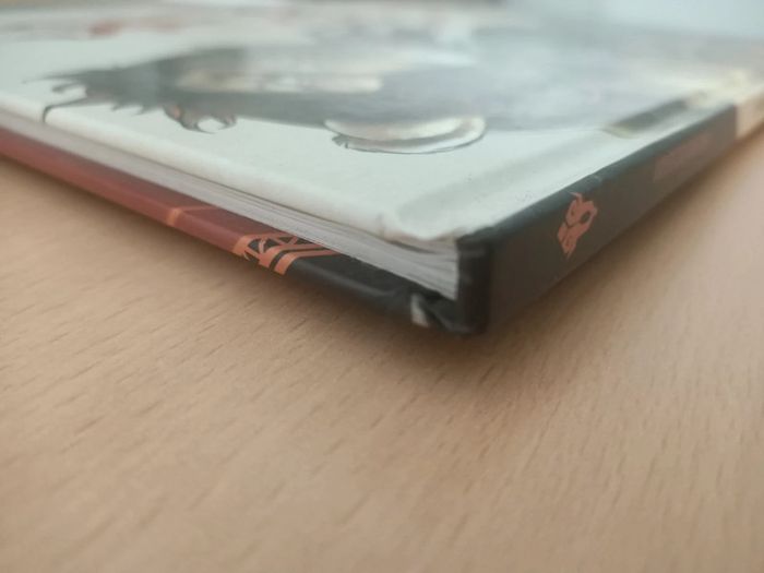 BD L'ogre lion tome 1 : le lion barbare (Bessadi / éditions Drakoo) - photo numéro 6