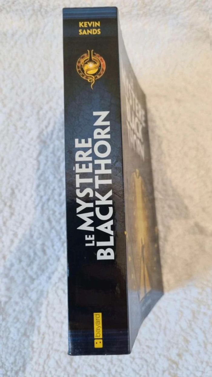 Livre Le Mystère Black Thorn  de  Kévin Sands - photo numéro 4