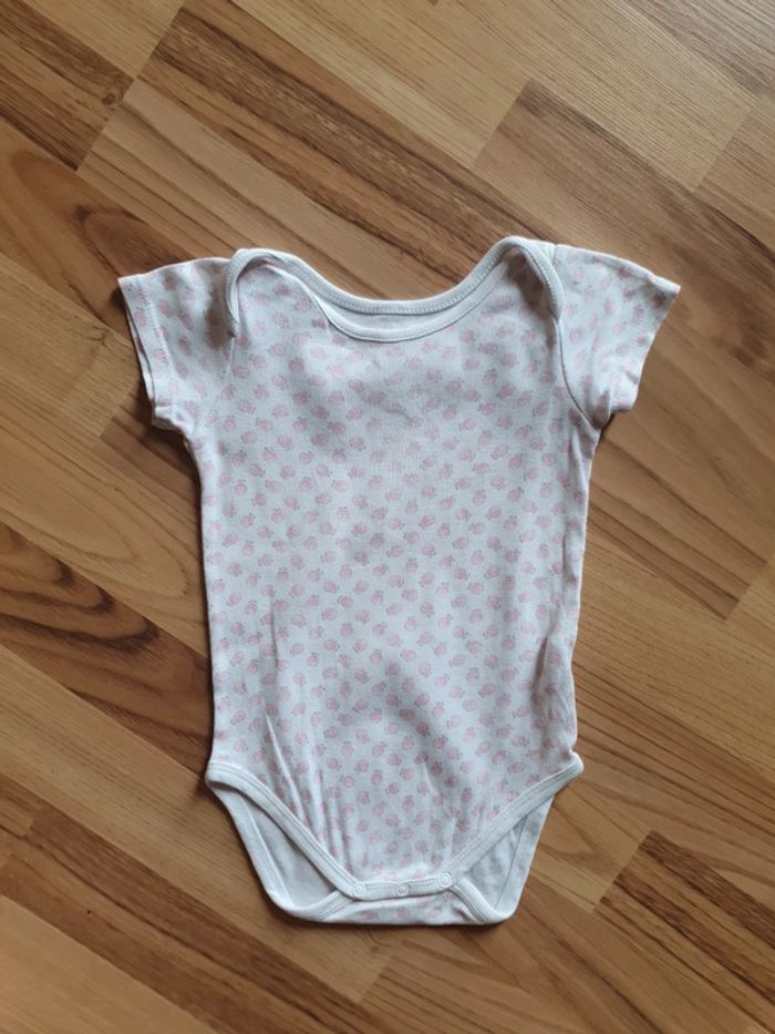 bodie rose 18 mois