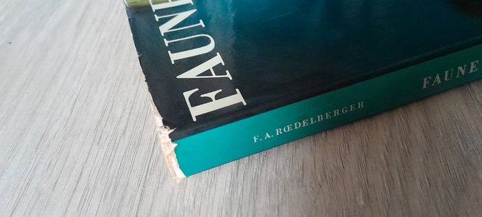 Faune des îles - photo numéro 11