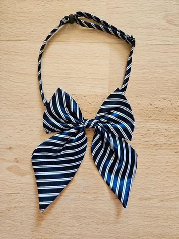 Collier noeud pour chemise réglable